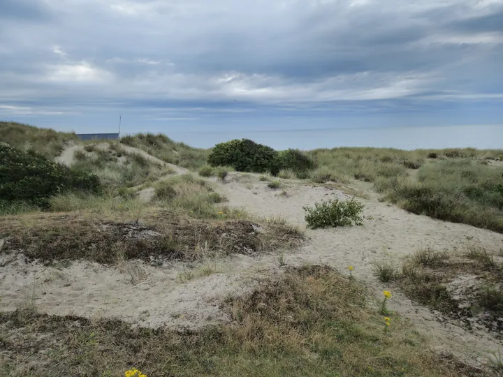 Bredene (België)